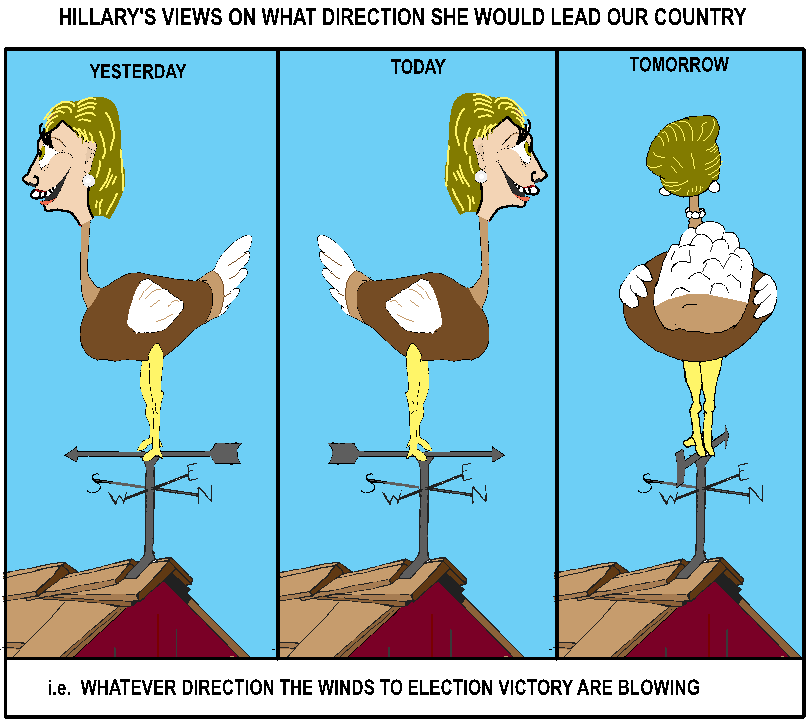 Hillary's Views On Direction for USA (Cartoon)