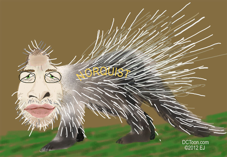 Norquist the porcupine